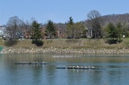 Men s Varsity 8 f
